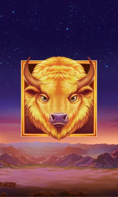Buffalo's Sun